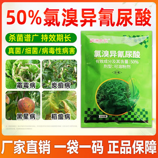 50%���宐��������������S��˪ùܛ���������rș������