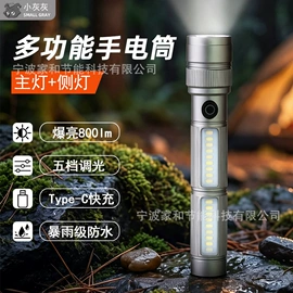 手电筒;头灯头戴电筒;提灯