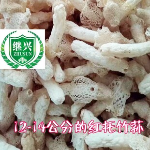 �F������  �������p      13-16cm      ���|��ā �I�B�S��  400