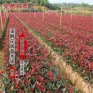�t�~ʯ骘���t�~ʯ����ļ������ͺ����B��G�hֲ��ͥԺ�G����ľ