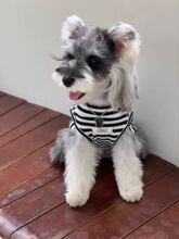 ؈���·�����˹�ҿ�˹�����A���l�y������؈����ë؈�������{