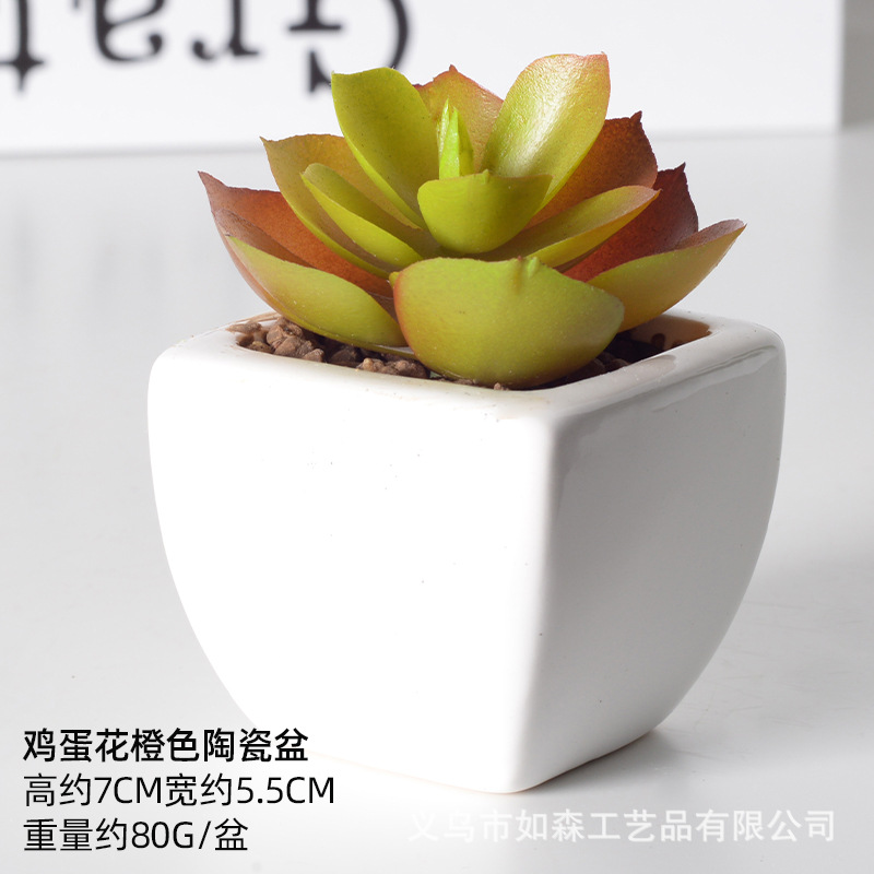 Simulación de cerámica bonsai de carne doméstica decoración de escritorio de oficina plantación verde maceta props de disparo maceta combinada artificial image 21