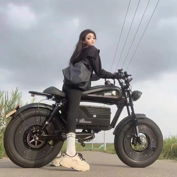 Himoto の新しい国家標準は、大人の電動自転車、若者の通勤スクーター、ドロップシッピングに登録できます。|undefined