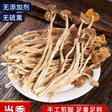 茶树菇干货甄选不开伞切根新货菌菇云南农家自产特产官方旗舰店