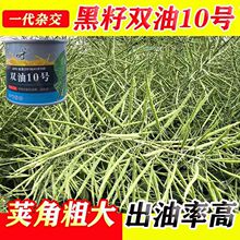 ���ͼ��S808�Ͳ˷N���ͼ��S�Ͳ��Ѱ��Uե���^�p�����Ͳ˷N�Ӵ�ȫ