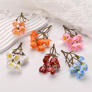 ���滨6��С÷���b��������Ů�����l��diy���� �h������^��