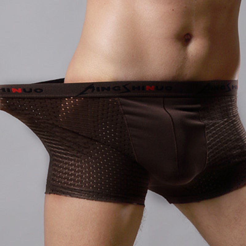 Calzoncillos Boxer de los hombres de seda de hielo verano malla transpirable malla hueco modal Boxer shorts cabeza fábrica al por mayor