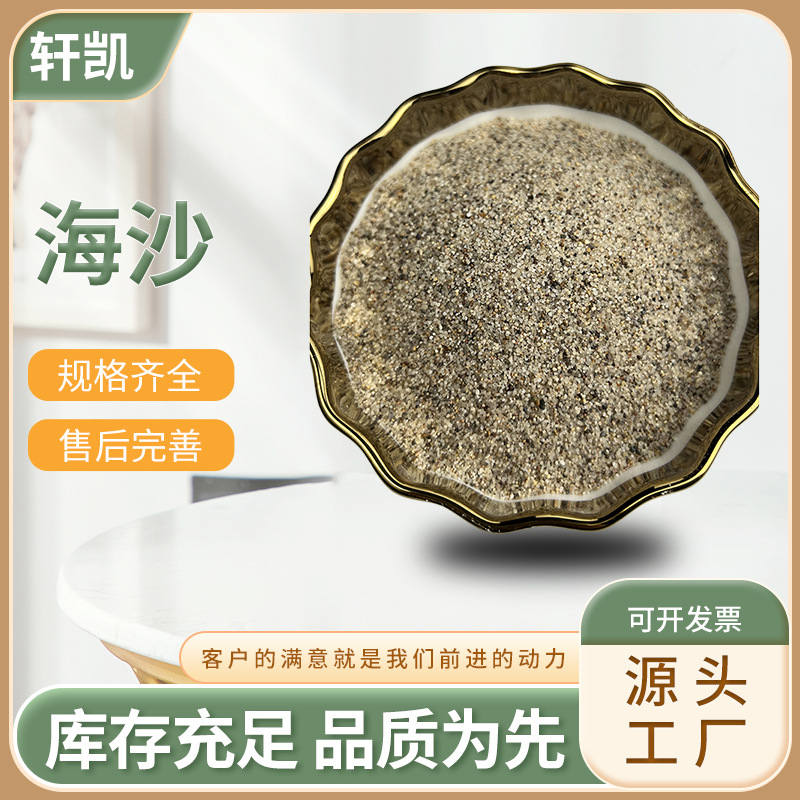 供应园粒砂儿童娱乐沙滩海沙无尘沙疗砂压裂沙造景水洗质感园粒沙