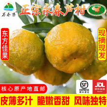 �f��կ���������J��10���b�Y�и̽۸��ٴ�����r�Fժ�F�l������S