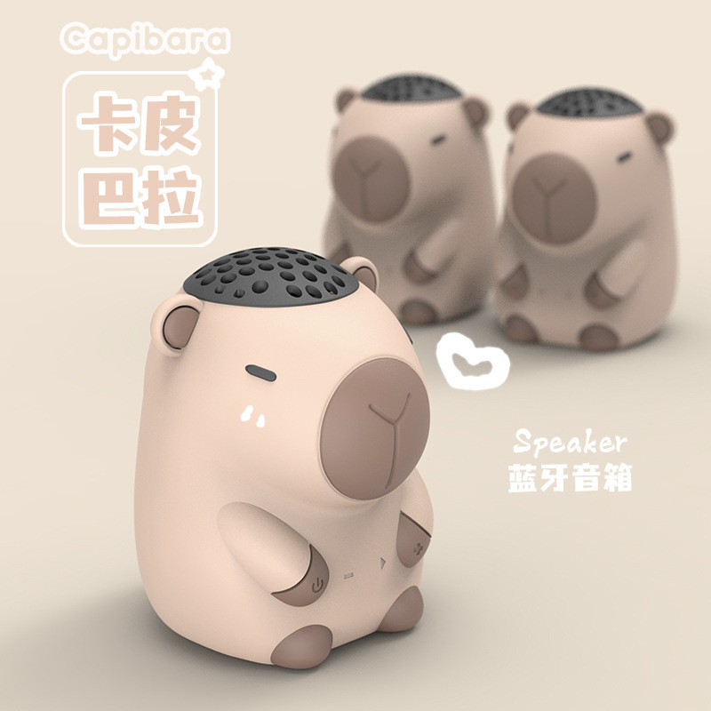 Kapibala Small Speaker Source Factory Wholesale Stereo Surround Sound Plug-In Card Radio Tws Couplet Charging