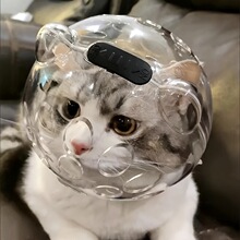 S 79490 Cat protective hood è�����ͷ�ֿ羳����ͨ