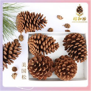 ?�ɹ� ��Ȼ�ɹ� ������ ������ ���ɹ� �����^ �ɻ� �ɹ���ˇE18