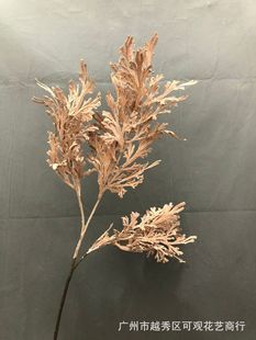 �����֧����ӭ��������ɺ���b廨���滨޹�²��JȔ��β�Fڡ�~