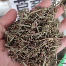 扁蓄 萹蓄草1kg中药材 地萹蓄 牛鞭草 牛筋草