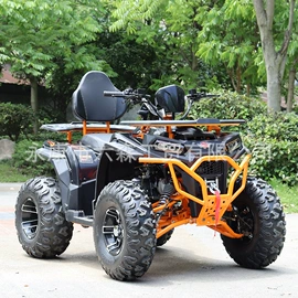 沙滩车;其他摩托车;其他电动车