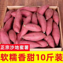 蜜超甜农科院批发番薯糖心产地流油红薯新鲜地瓜直发沙地蜜薯