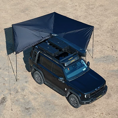 Platform, Beijing Bj40 Roof: Roof rack