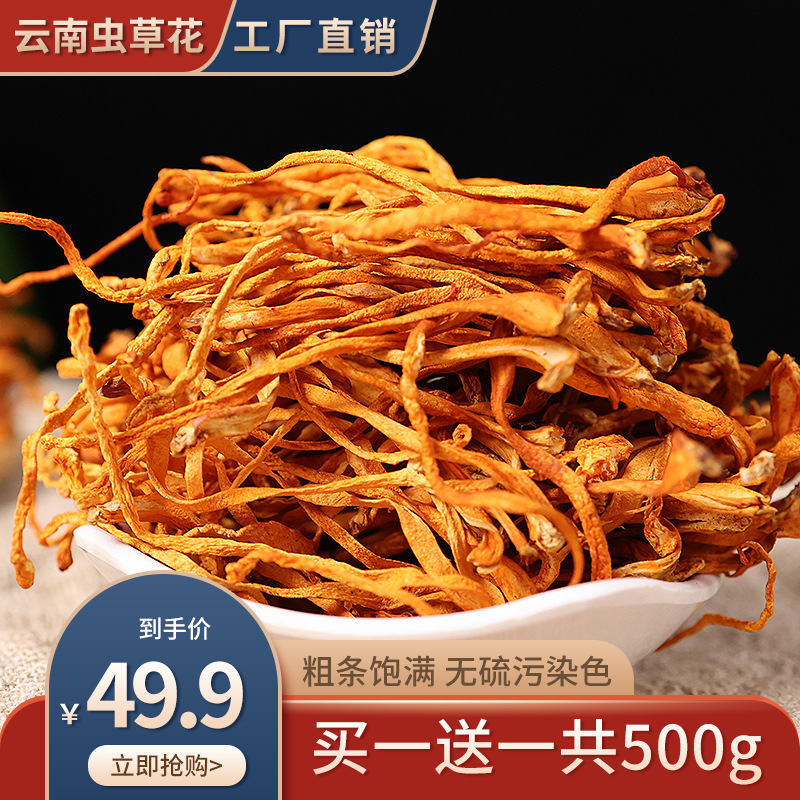 虫草花干货新鲜金蛹北虫草菇孢子头煲汤特级新鲜蔬菜特级煲汤批发