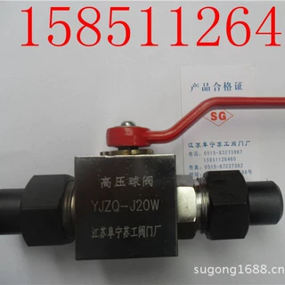 YJZQ-J20W  液压高压阀 NV1-UGM14-11-G-316液压泵
