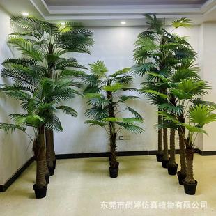 ����СҬ�Ә�٘䙉�Ƙ�ᘿ����ؙ��� ���ͷ���Gֲ�쾰�@��