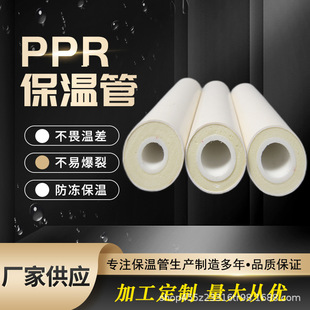 PPR��ˮ����һ�w��  �۰���ֱ�񱣜ع�  &Phi;63*&Phi;110�ͺϱ��ع�