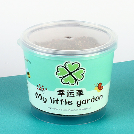 Niños plantan pequeños jardines de infantes fresas plantas de mesa mini caja ciega diy verde juguetes puestos al por mayor image 15