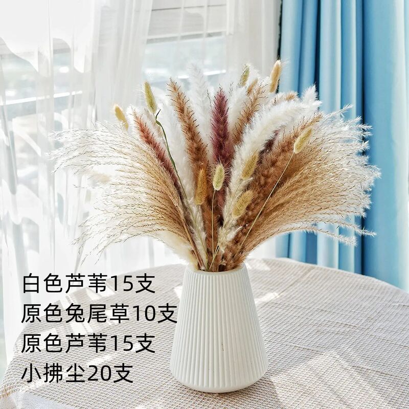 アマゾンはよく売れています。葦の花の花束です。|undefined