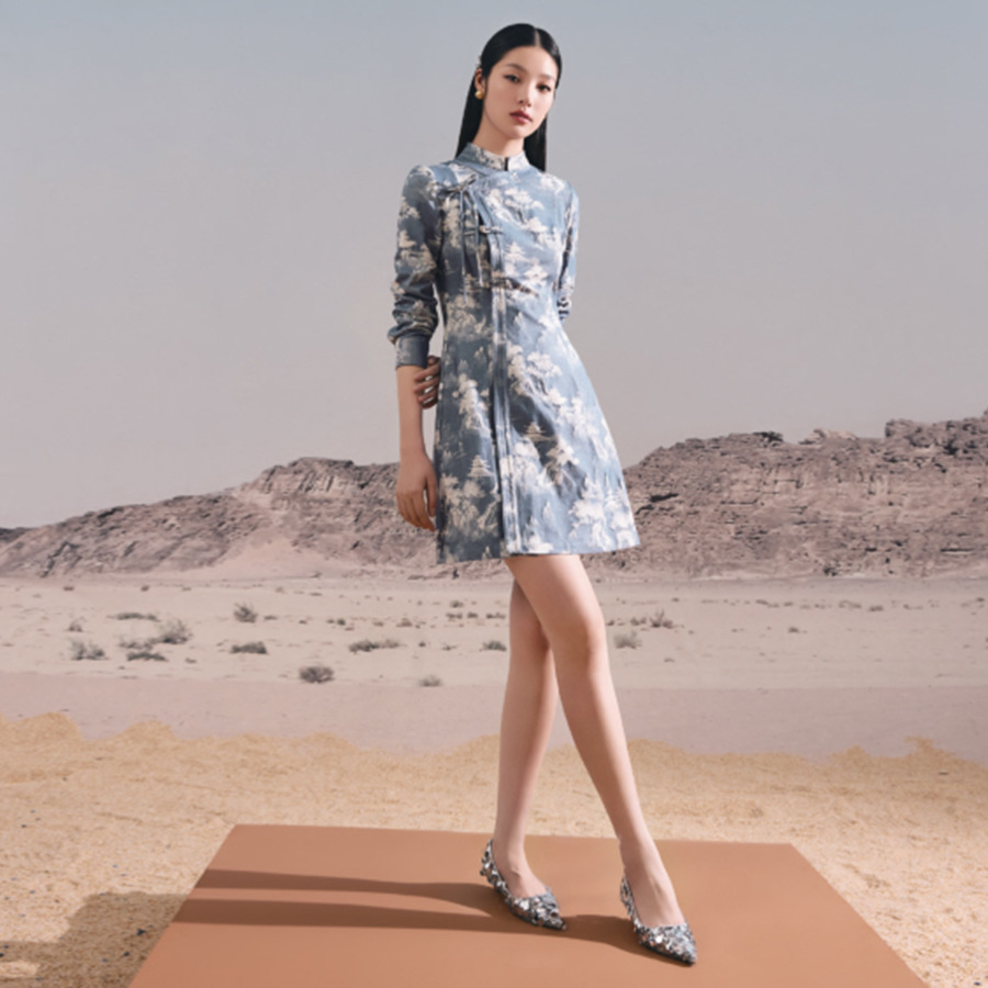 Chinese-style Tassel Button Flower Dress