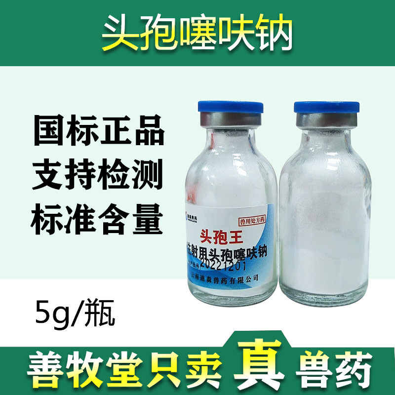 Cefotaxime injection Sheep Anti-bacterial anti-inflammatory Bring down a fever Respiratory Tract 5g Cephalosporins Powder for injection wholesale