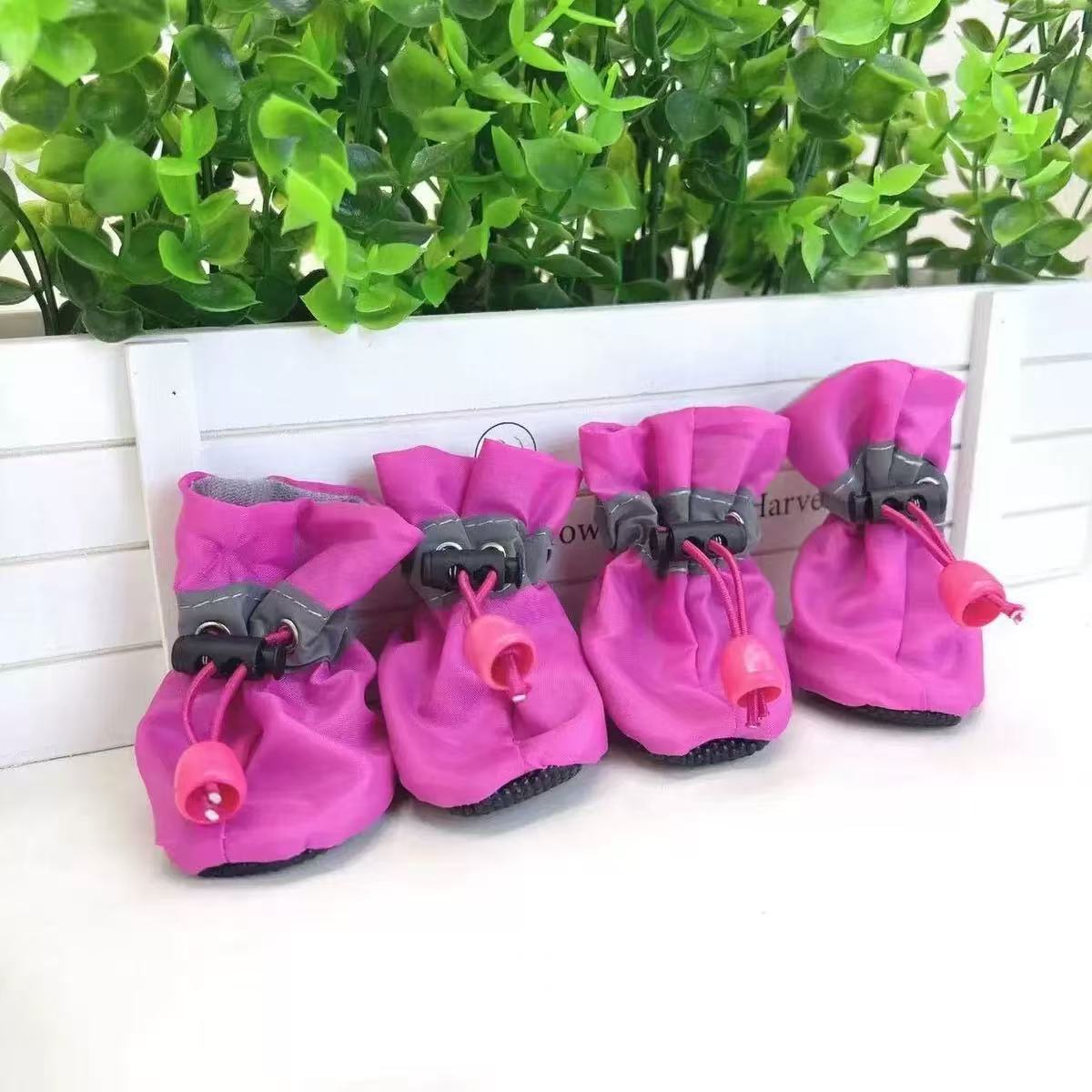 로즈 레드 신발