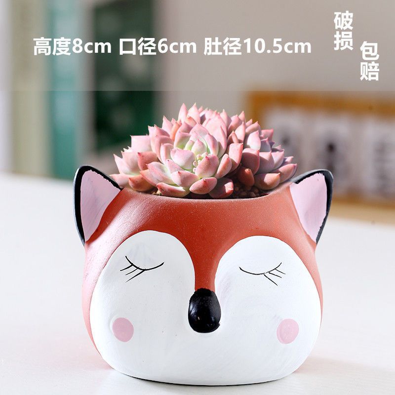 Macetas de cerámica para suculentas con diseño de animales de dibujos animados, pequeño tamaño, para estante de flores en casa, suministro al por mayor
