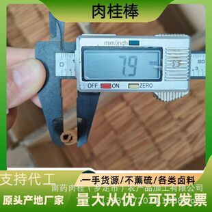 �����޹�b�Ƥ���ֶY��ˇ��ؔ������ș���{�ϟ���500��