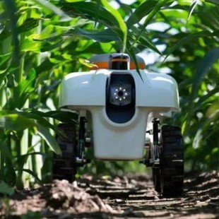 Efficient operation of the ZK06 wireless charging module agricultural robot wireless charging compatible equipment