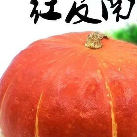 万圣节雕刻红皮南瓜精品南瓜小金瓜新鲜整箱批发发货红南瓜全年