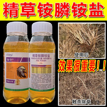 【2斤装】独守精草铵膦铵盐果园茶园苗圃林玉米苗前高浓度除草剂