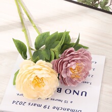 �����ĵ�����W���͹żҾ��b����廨�zӰ�쾰���߆�֧�ٻ����l