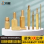 定制加长单头定做铜螺柱