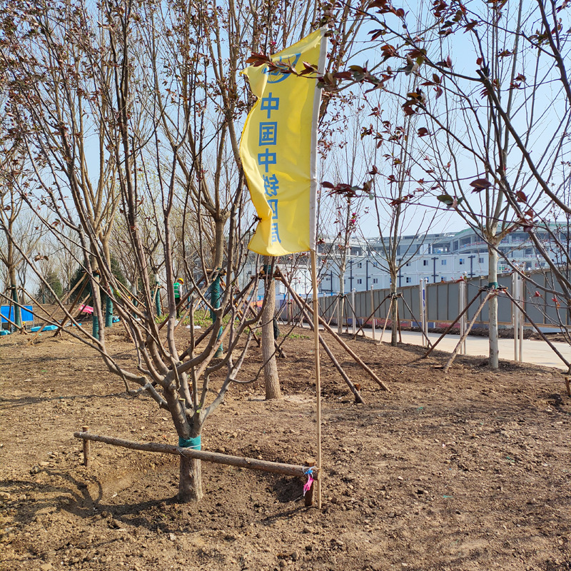 稻壳鸭粪稻壳牛粪生物有机肥改善土壤板结提升有机质含量