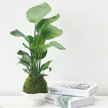 �����B̦�\���҃��k���ҾGֲ�������ȩ�����՚�