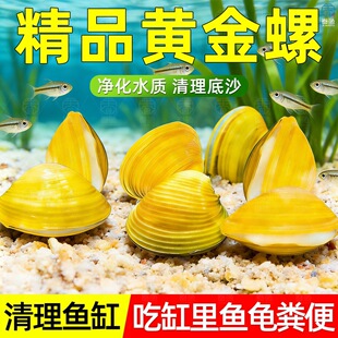 �S��͘�����~ʺ�S���ˮ�Ӱ���ˮ�����ˮ�^�p�~�坍�����^�p��