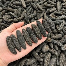 �������״̅�Ұ�����ɱ��u�M��ϣ�D�o�̺����ڴ̅���؛�M����Դ