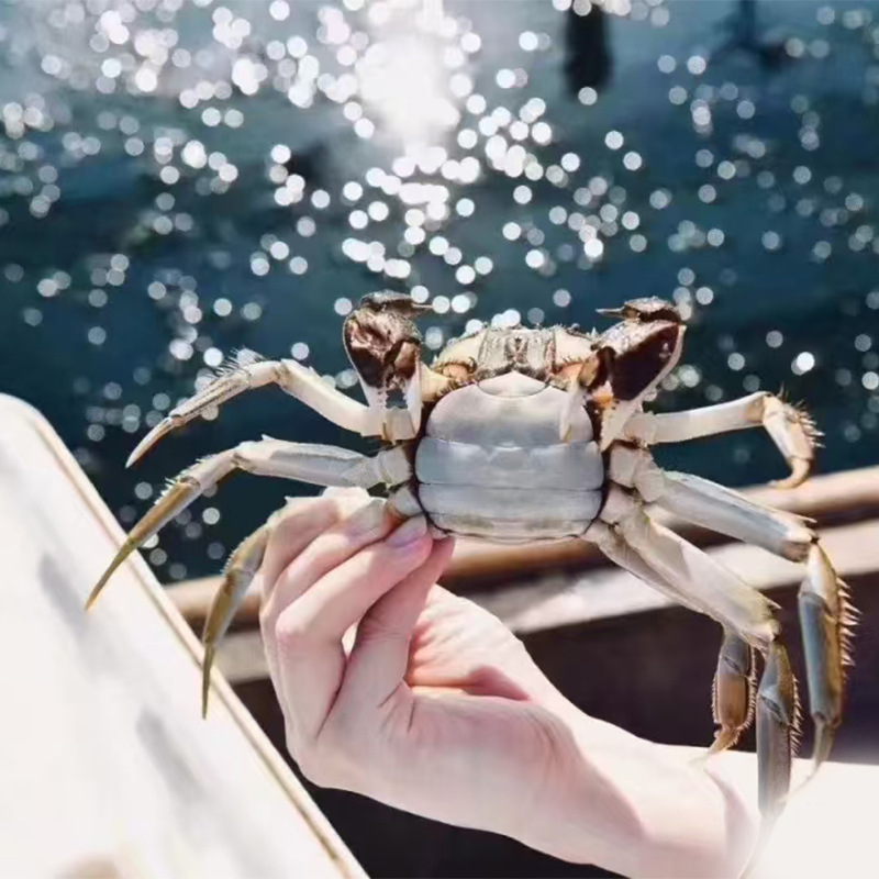 eb6d91346fea0db55a78a7e4bca127