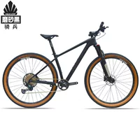 HULDA Cavalry Обновленная версия 29inch 12-скоростной горный велосипед из углеродного волокна для взрослых с сквозной осью для бездорожья