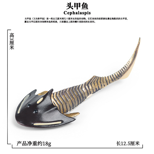Simulated marine animal model children's toys ancient strange shrimp, nautilus, trilobite, right-angle stone ornament set