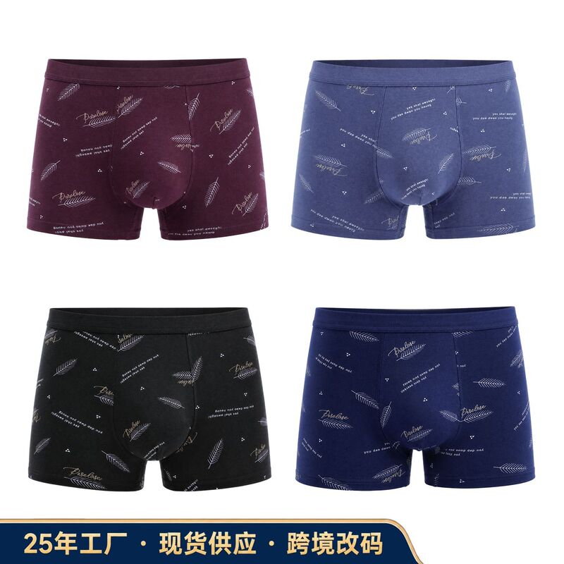 [Cross-Border Ready Stock] Pure Cotton Men's Underwear, Men's Pure Cotton 3D Boxer Briefs, Mid-Waist Printed Men's Underwear