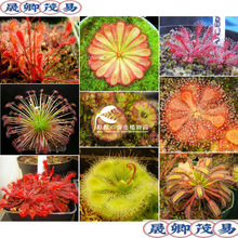 ʳ�xֲ��-���Né���ʳ�˻�����