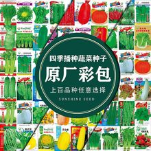 一件代發四季蔬菜種子大全室內外農家陽台庭院播種香菜生菜白菜蘿
