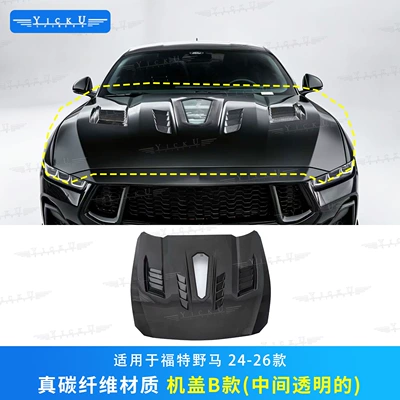 Big Surrounded | rear lip, side skirts, wind - model-b-engine-cover-real-carbon-fiber