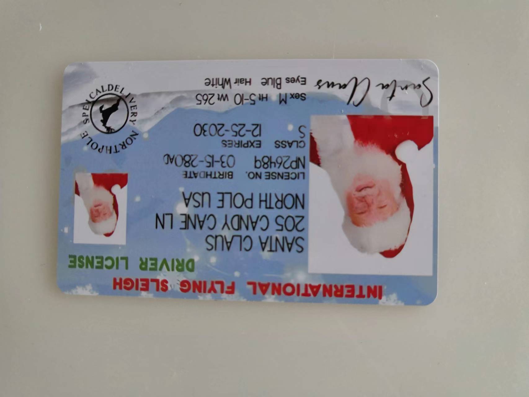 새로운 크리스마스 카드 E