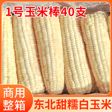 东北白色甜糯玉米棒 40根粗玉米一号玉米大玉米棒18-20厘米整箱批